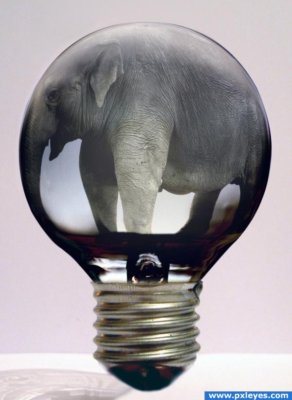 Incandescent Elephant